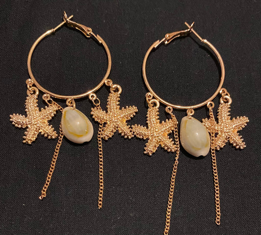 Star earrings hoops